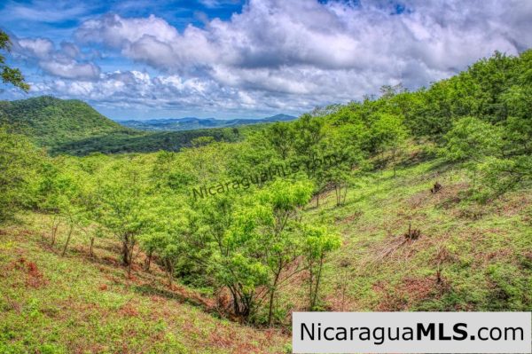 Lot 24 Arriba Verde El Carrizal San Juan del Sur - Image 2
