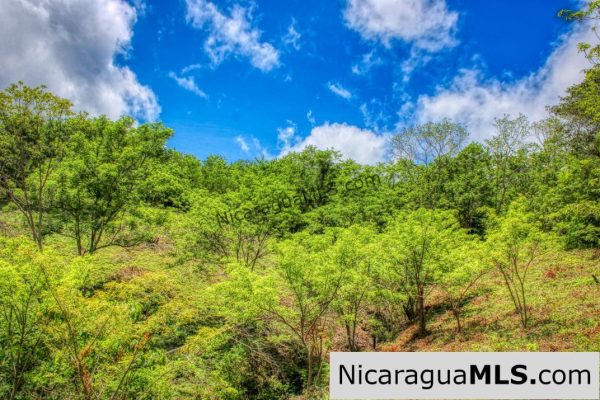 Lot 24 Arriba Verde El Carrizal San Juan del Sur - Image 3