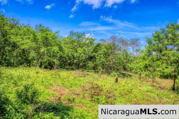 Lot 24 Arriba Verde El Carrizal San Juan del Sur - Image 6