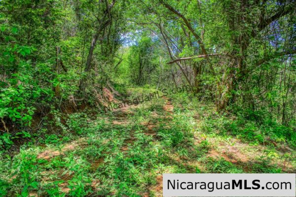 Lot 24 Arriba Verde El Carrizal San Juan del Sur - Image 9