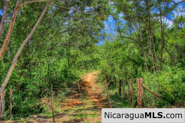Lot 24 Arriba Verde El Carrizal San Juan del Sur - Image 11