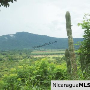 Affordable Lot with Access to Private, World-class Surf Break
