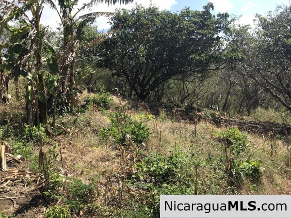 Las Escaleras Lot 9 - Image 9