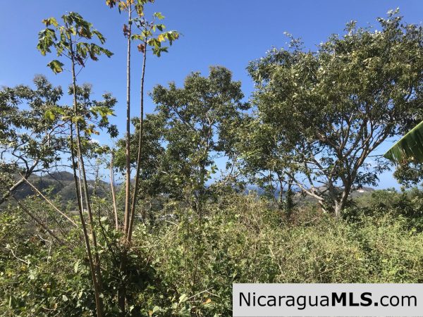 Las Escaleras Lot 9 - Image 10
