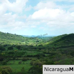 80 Acre Ranch on Paved Road with Ocean Views