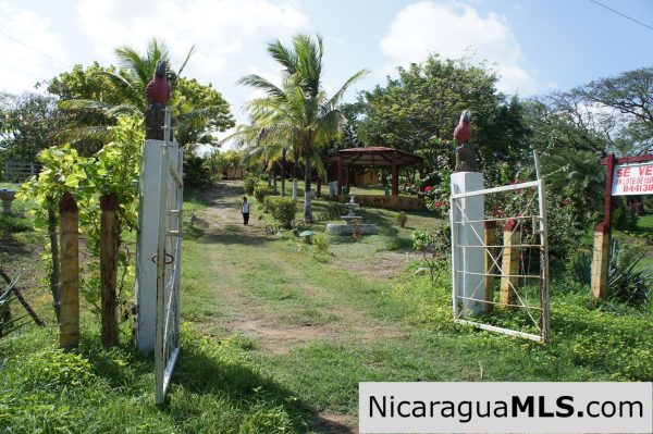 80 Acre Ranch on Paved Road with Ocean Views - Image 2