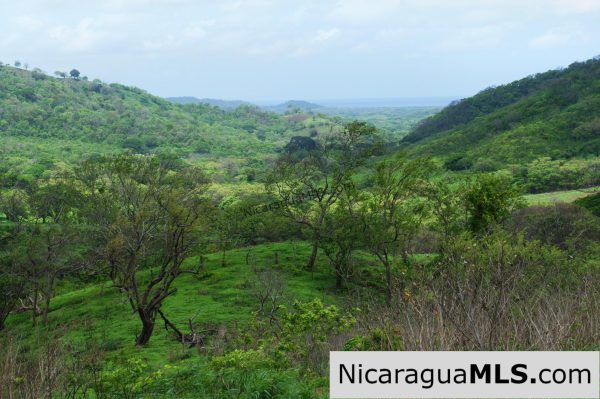 80 Acre Ranch on Paved Road with Ocean Views - Image 5
