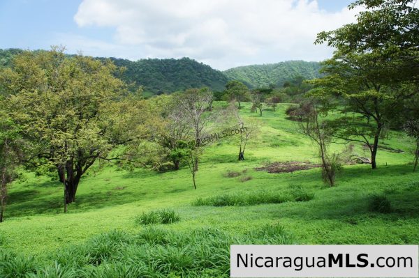 80 Acre Ranch on Paved Road with Ocean Views - Image 4