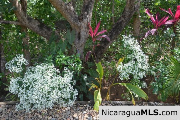 Two Bedroom Townhome La Talanguera San Juan del Sur - Image 16