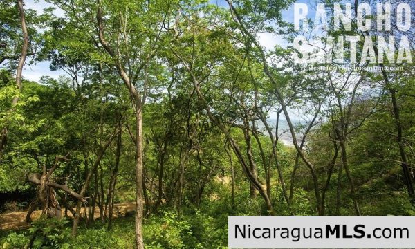 Reduced Price Land at Rancho Santana with Easy Beach Access - Image 5