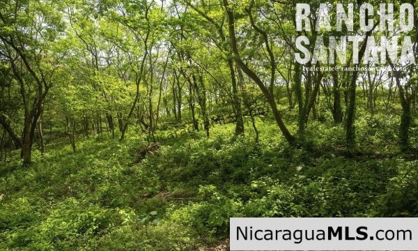 Reduced Price Land at Rancho Santana with Easy Beach Access - Image 6