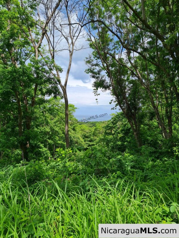 Lots Arcos del Sol in Guacalito de la Isla. Tola – Nicaragua - Image 6