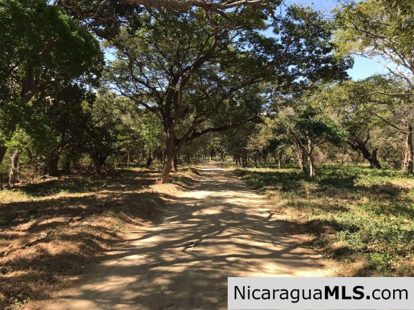 Resale Lot B15 in Bosques del Mar - Image 7