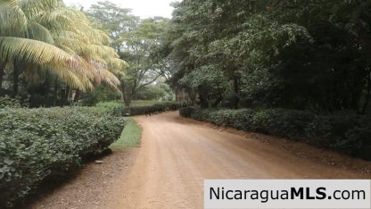 Resale Lot B15 in Bosques del Mar