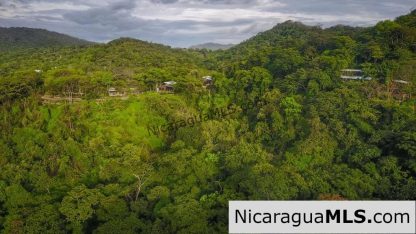 Casa Selva – “Best Designs Of The World”