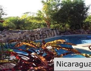 Garden lovers dream house in Lomas de Palermo