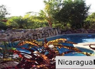 Garden lovers dream house in Lomas de Palermo