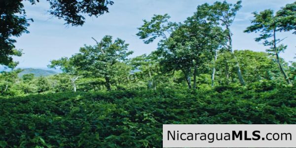 Las Mesas Lots Available in El Encanto del Sur Development, San Juan del Sur-Nicaragua - Image 4