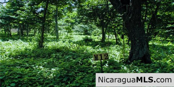 Las Mesas Lots Available in El Encanto del Sur Development, San Juan del Sur-Nicaragua - Image 6