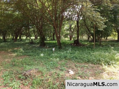Resale Lot B15 in Bosques del Mar