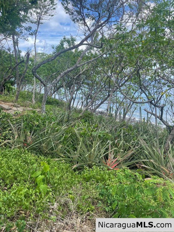 Costa Dulce Beachfront Lot B16 - Image 11