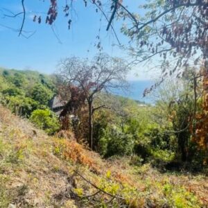 Paradise Bay Panoramic Ocean View Lot 19