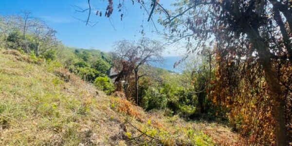 Paradise Bay Panoramic Ocean View Lot 19