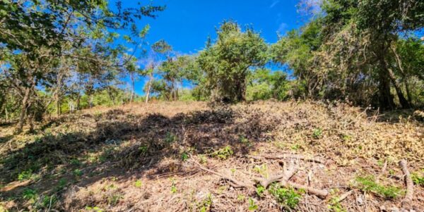Developer’s last lots at Arriba Verde in Carrizal