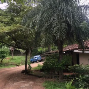Charming Cabin, Well Loved, Well Priced. 6 minutes from Town