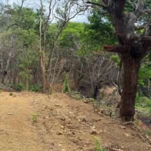 3 Acres located beside the Las Escadas Pickleball Courts