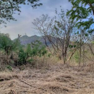 Lot 35 Jungle Cool, Beach Near, Steps to Pool