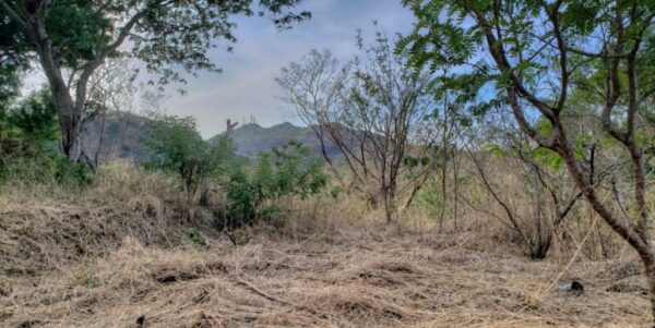 Lot 35 Jungle Cool, Beach Near, Steps to Pool