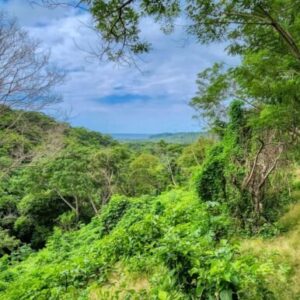 25 Acres of Pristine Nicaraguan Jungle
