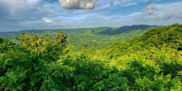 75 Acres of Mountain Forest in San Juan del Sur