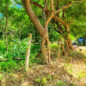 Prime Development Land, Remanso, on the New Coastal Highway