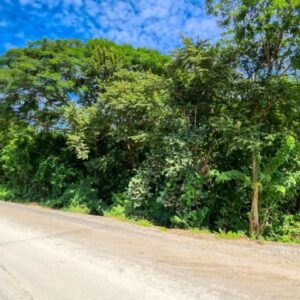 Road to Remanso, Commercial/Residential Land