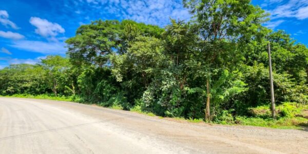 Road to Remanso, Commercial/Residential Land