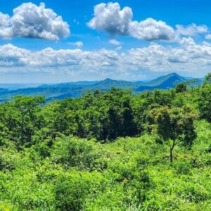 12 Acres Ocean View, Peaceful Hills!