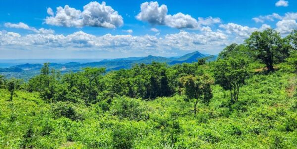 12 Acres Ocean View, Peaceful Hills!