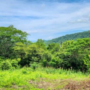 Double Lot, Half Price Ocean, Mountain View