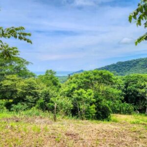 Ocean View Vacant Lot in Villas Oro Lot 12
