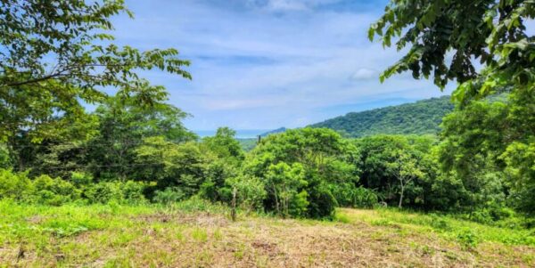 Ocean View Vacant Lot in Villas Oro Lot 12