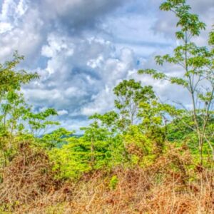2.5 acres Nature’s Paradise, Las Fincas Lot 20