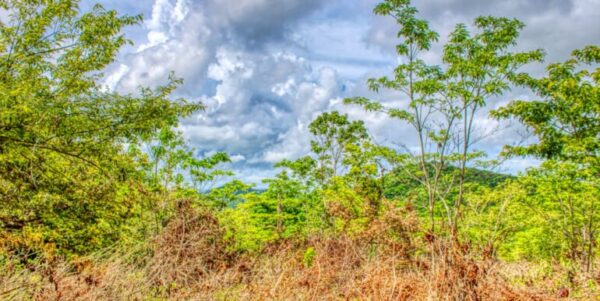 2.5 acres Nature’s Paradise, Las Fincas Lot 20