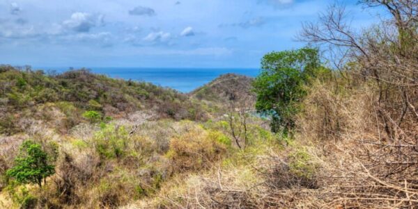 Lot 79, Your Dream Lot with Plans, Ocean View, Paradise Bay!