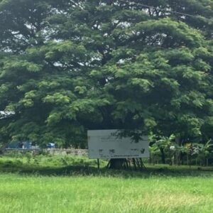 Commercial Property – Cabañas Del Sur-San Juan Del Sur!