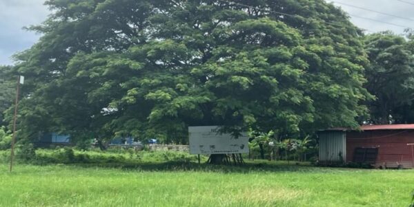 Commercial Property – Cabañas Del Sur-San Juan Del Sur!
