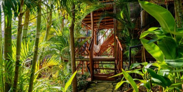 Eden on The Chocolata Road Eco-Lodge & Retreat Center - Image 2