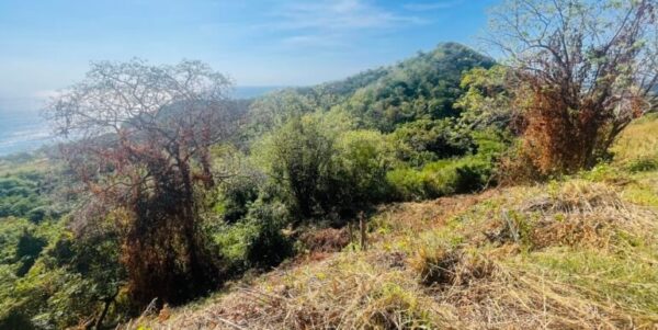 Paradise Bay Panoramic Ocean View Lot 19 - Image 2