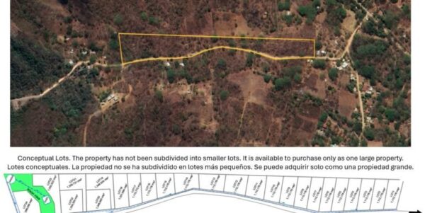 700 Meters Frontage Majagual - Image 2